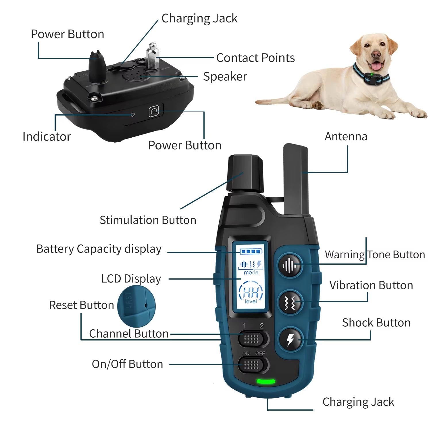 “Diagram of no-shock dog training collar and remote, showing labeled parts including power button, LCD display, vibration button, warning tone button, channel button, antenna, charging jack, and indicator light, with dog wearing the collar.”