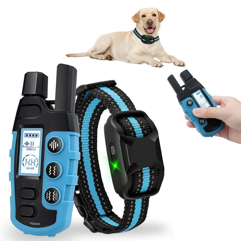 “Blue no-shock dog training collar with remote control, adjustable strap, and green light indicator, shown with a dog wearing the collar.”