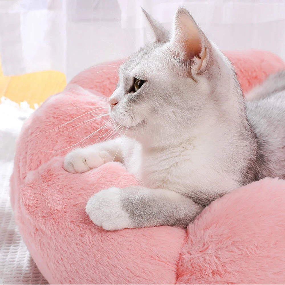 Snuggly Flower Power Pet Bed: The Ultimate Cozy Oasis for Your Furry Fashionistas!