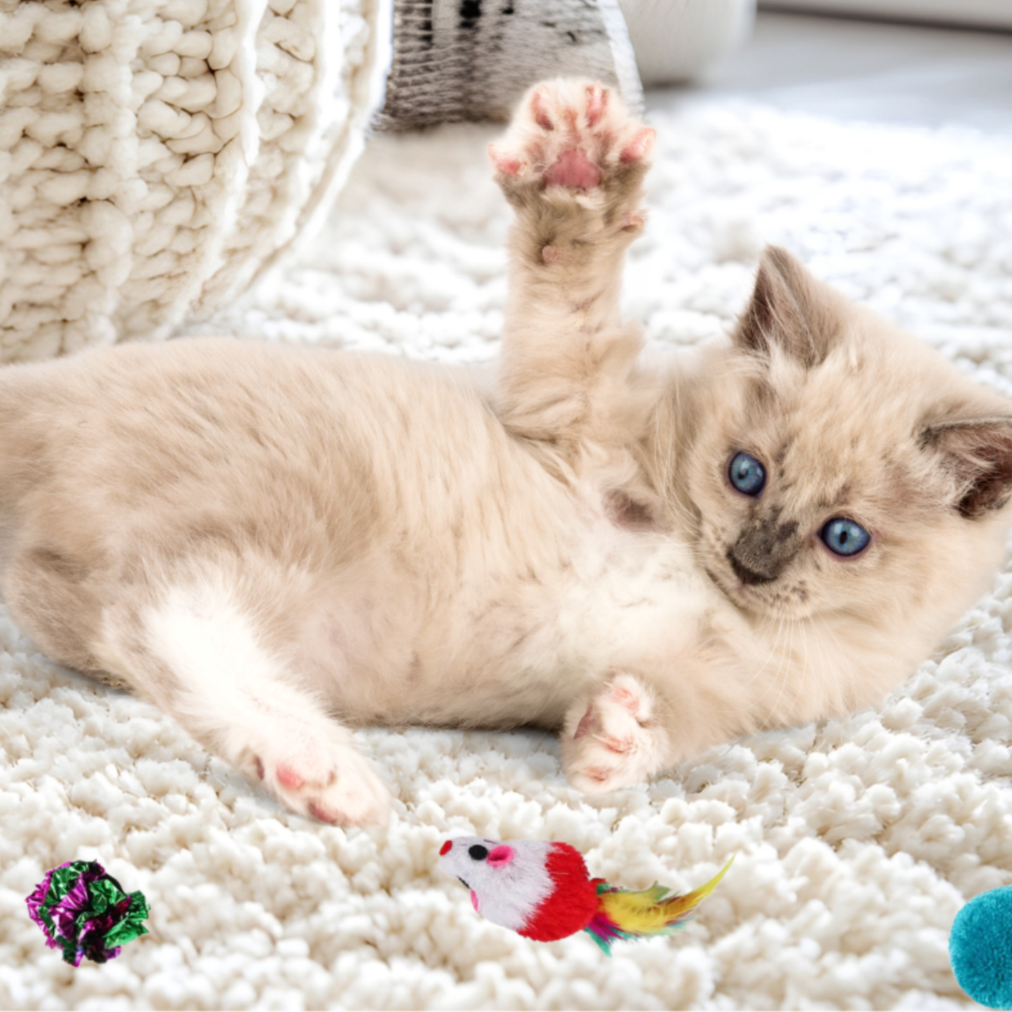Ultimate Cat Toy Play Kit™ 🐾