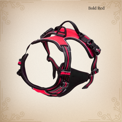Luxe Reflective No-Pull Dog Harness 🐾