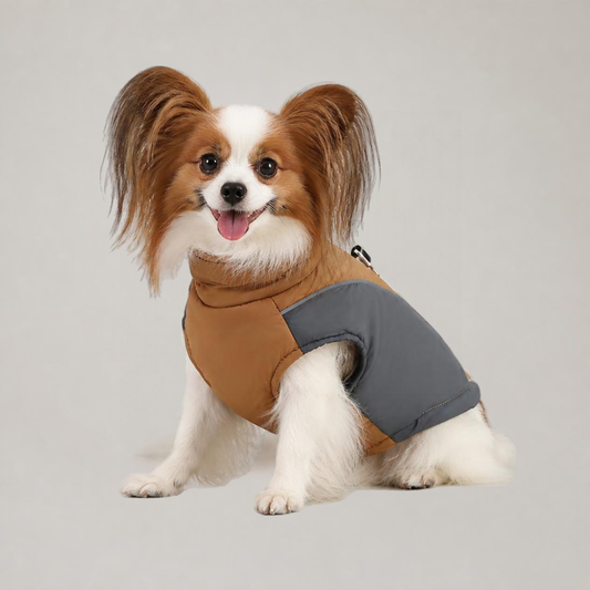 Papillon dog wearing WindGuard Windproof Dog Vest in Coffee and Gray, front view with high collar