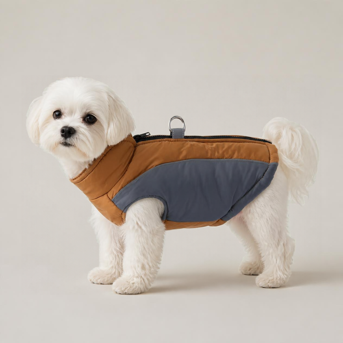 White Maltese dog wearing WindGuard Windproof Dog Vest in Coffee and Gray, showing side fit and D-ring