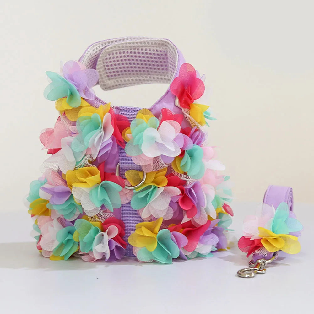 Colorful floral harness dress with matching leash on a white background.
