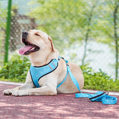 Dog wearing blue dog harness and leash set