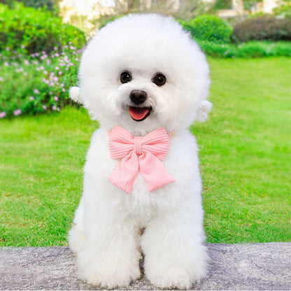 Dog wearing pink bow tie collar