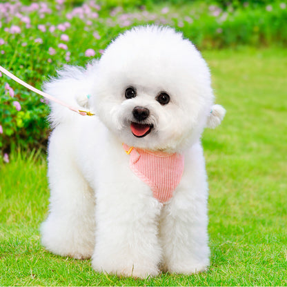 Dog wearing pink corduroy harness and leash set