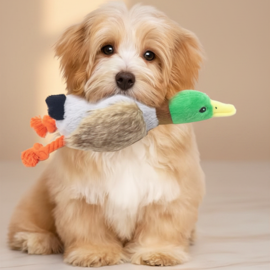 Cute Duck Plush Squeaky Dog Toy 🦆💕