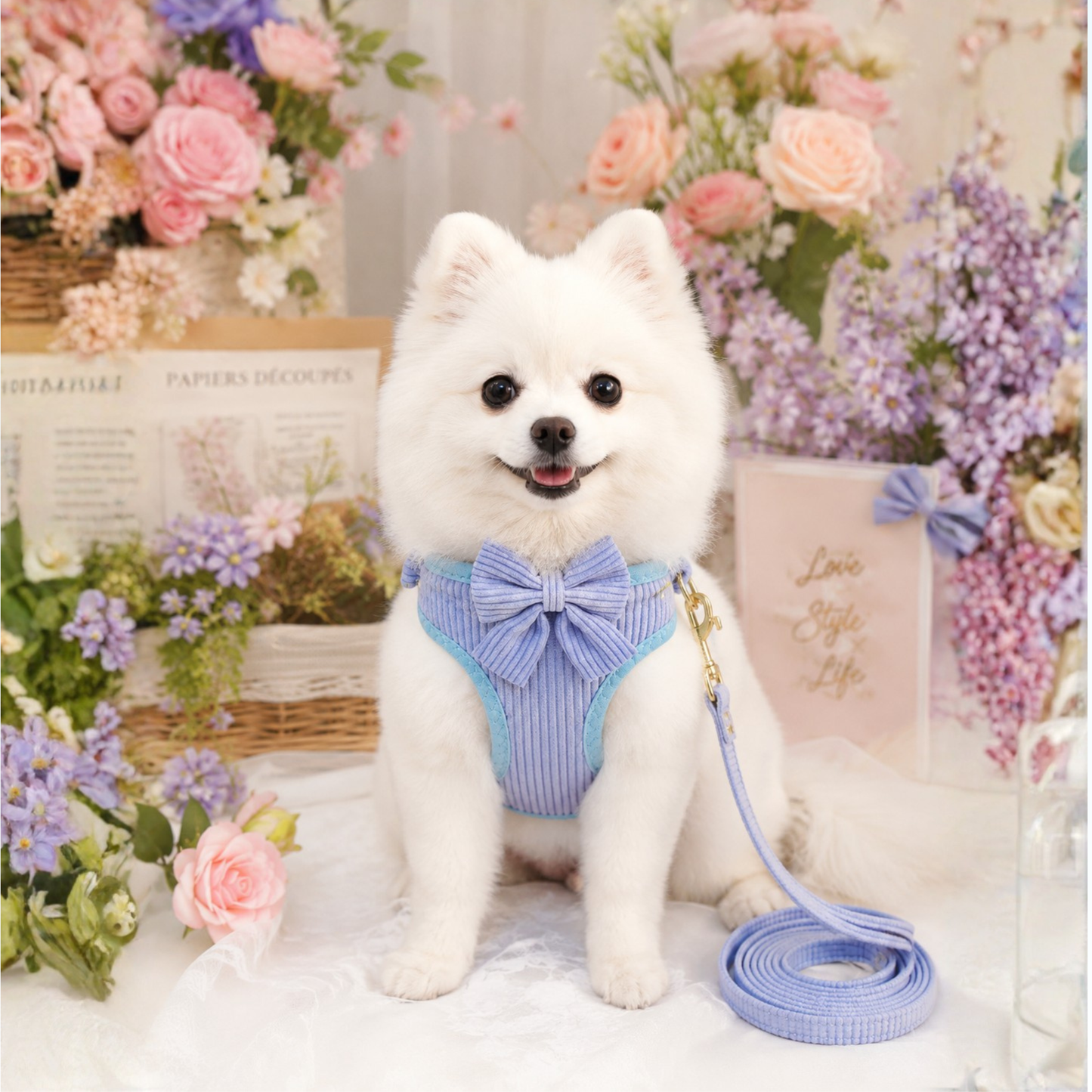 ✨ Luxury Corduroy Dog Harness & Leash Set