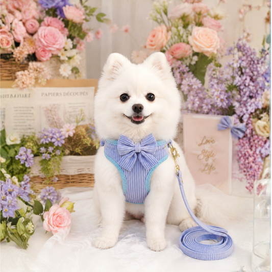 ✨ Luxury Corduroy Dog Harness & Leash Set