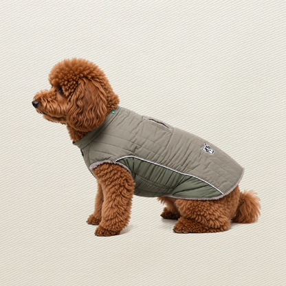 Brown Poodle wearing an olive green quilted winter dog coat with reflective trim and fleece lining, side view