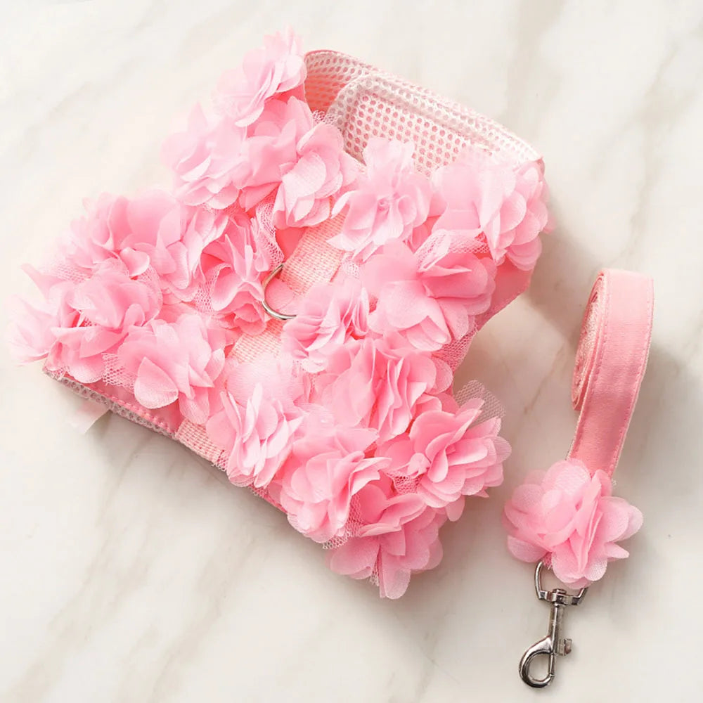 Pink Rose floral harness dress with matching leash on a white background.