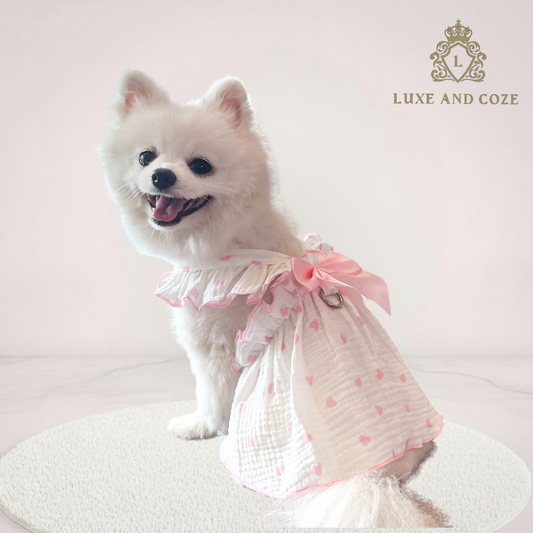 Luxe Bow Floral Pet Harness Dress 🌸🎀