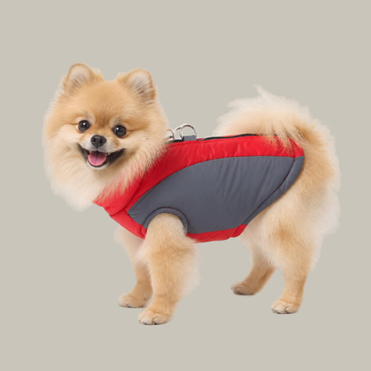 Pomeranian dog wearing WindGuard Windproof Dog Vest in Red and Gray, showing side panels and D-ring
