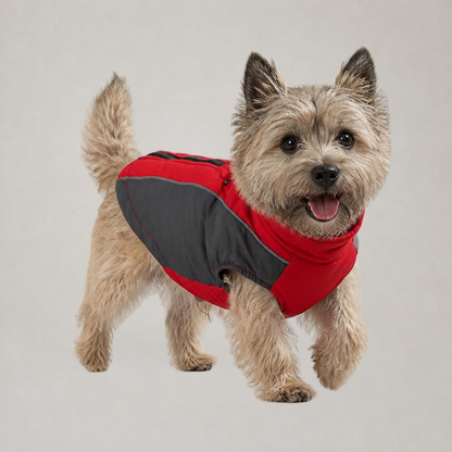 Cairn Terrier wearing WindGuard Windproof Dog Vest in Red and Gray, showing high collar and side panel