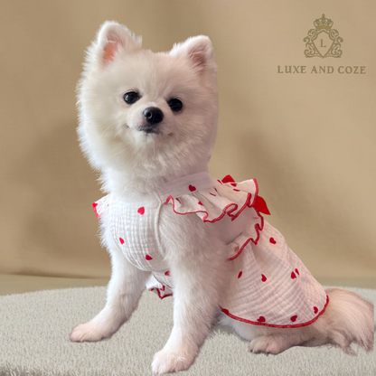 Luxe Bow Floral Pet Harness Dress 🌸🎀