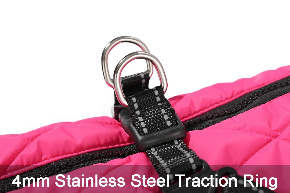 ✨ Close-up of stainless steel D-ring leash attachment on dog jacket harness