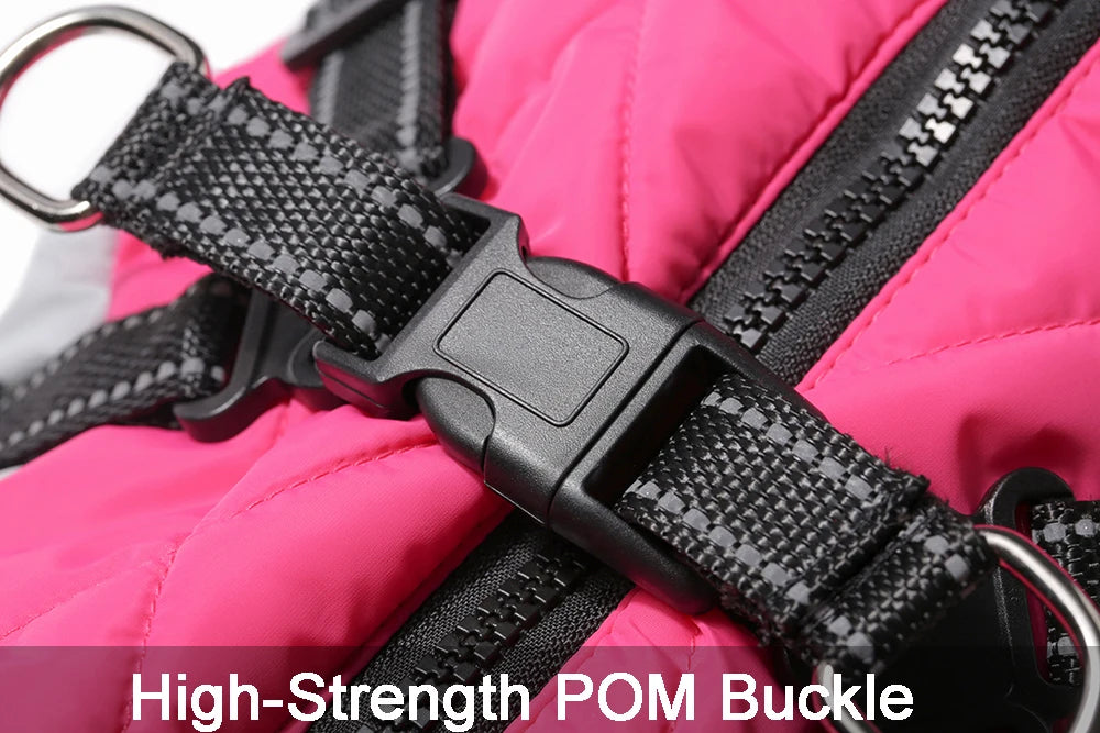 ✨ Close-up of harness buckle on waterproof winter dog jacket🐾