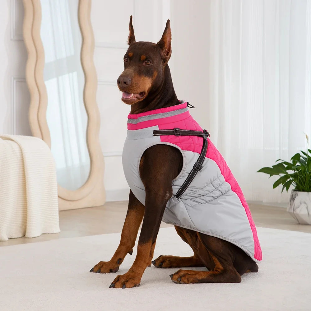 Doberman wearing pink/gray waterproof winter dog jacket with built-in harness – side view
