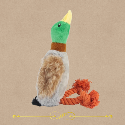 Cute Duck Plush Squeaky Dog Toy 🦆💕