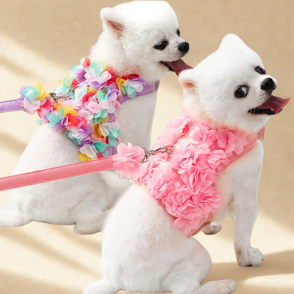 Two small dogs wearing floral mesh harness dresses in pink floral, and colorful colors.