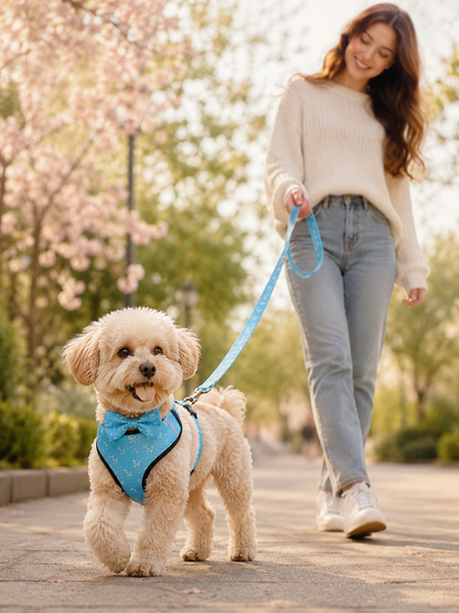✨ LuxePaws™ Premium Dog Harness & Leash Set 🐾