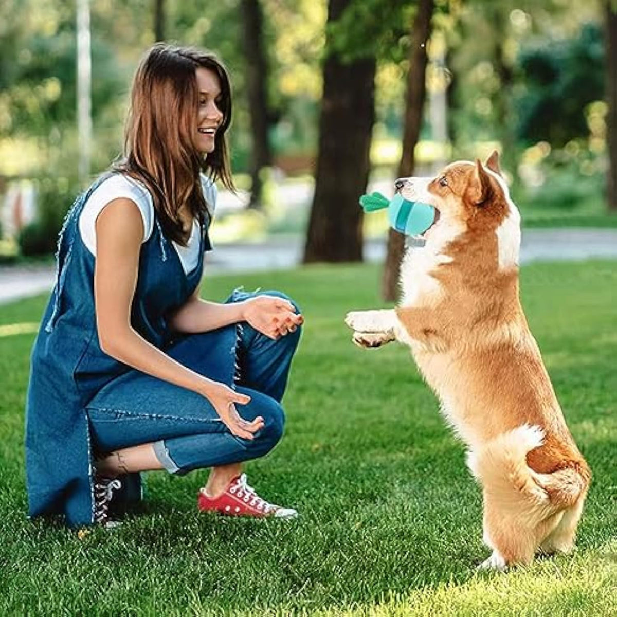 Woman training a dog outdoors with an interactive treat dispenser toy.