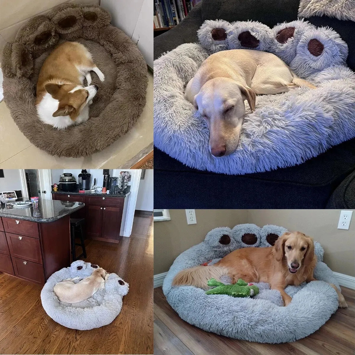 Transform Your Pet's Sleep with the Adorable Bear Paw Dog Bed - Cozy, Fluffy, and Perfect for All Sizes!