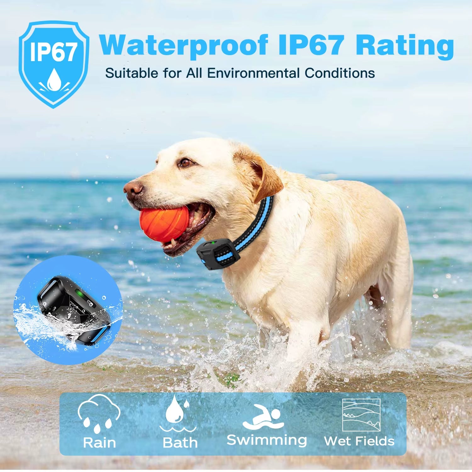 Waterproof dog training collar – retriever swimming with collar