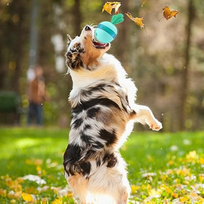 Dog jumping to catch a blue interactive treat dispenser toy outdoors.