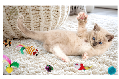 Ultimate Cat Toy Play Kit™ 🐾