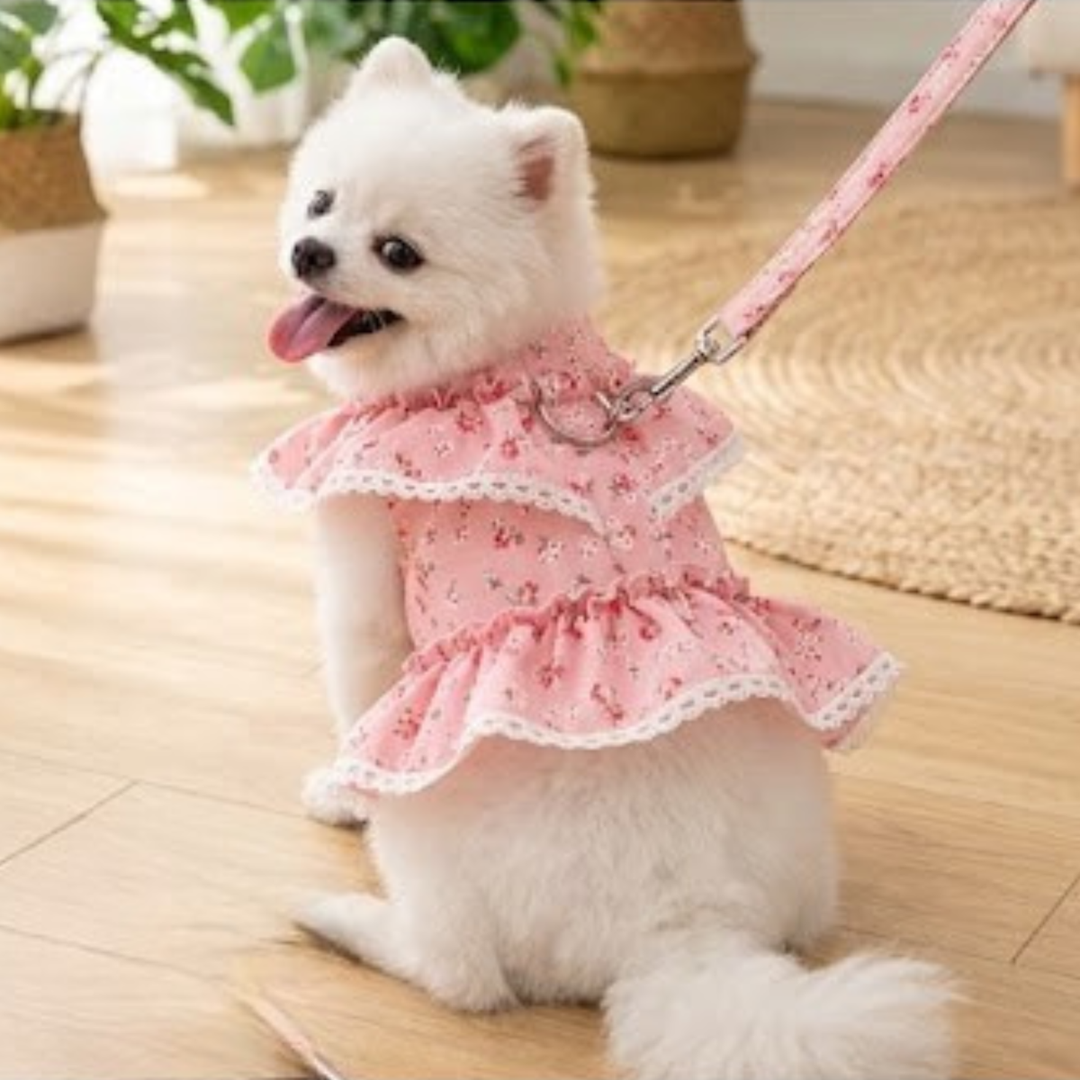White dog wearing a pink floral mesh harness dress with matching leash.