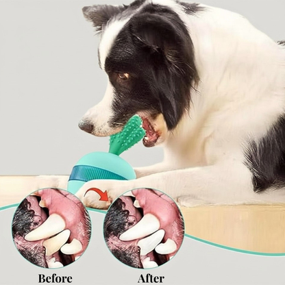 Dog chewing an interactive treat toy with before-and-after dental cleaning results.